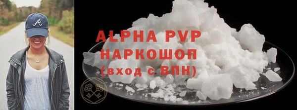 стаф Аркадак