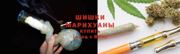гидропоника Осинники