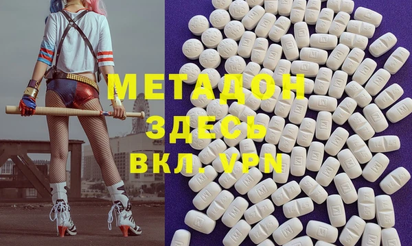 прущие грибы Абаза